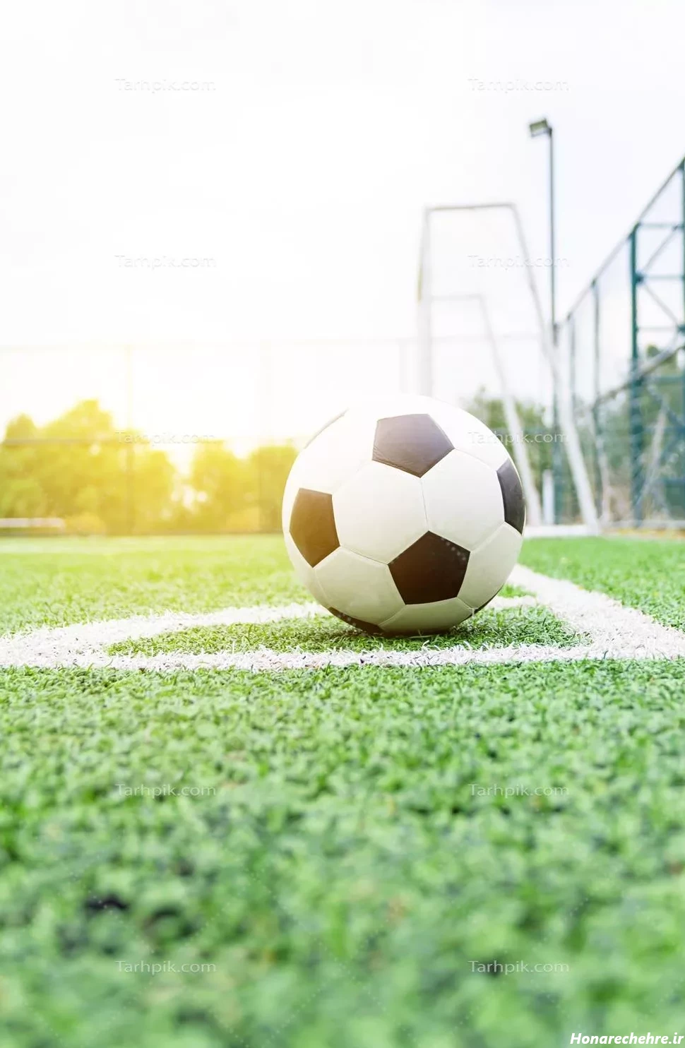 عکس چمن فوتبال طبیعی