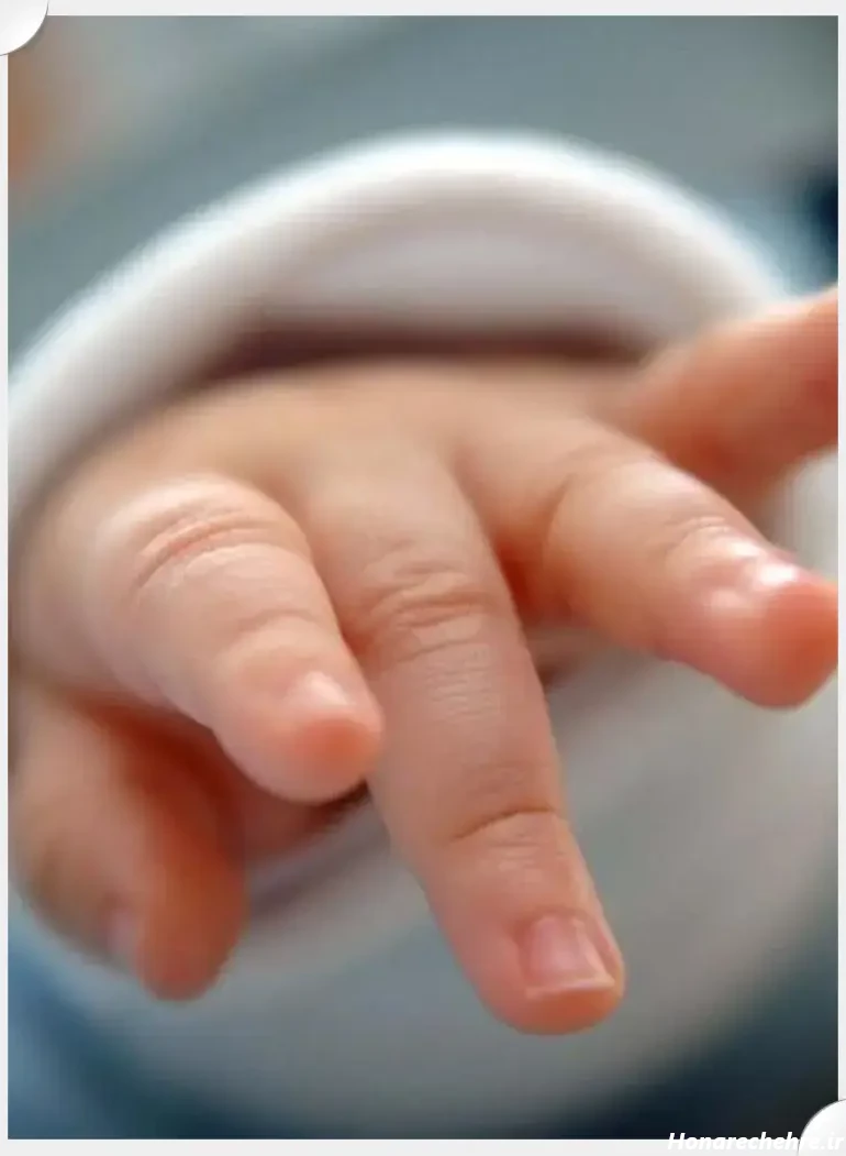 عکس های خنده دار در حد ترکیدن