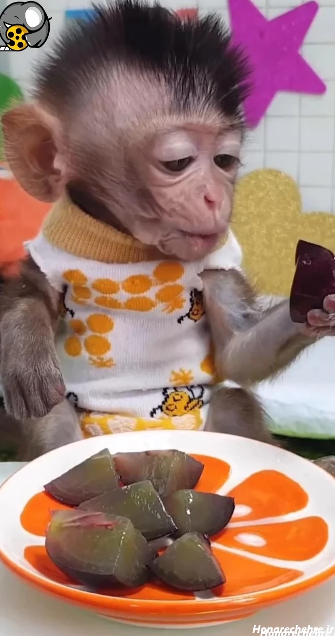 34 34