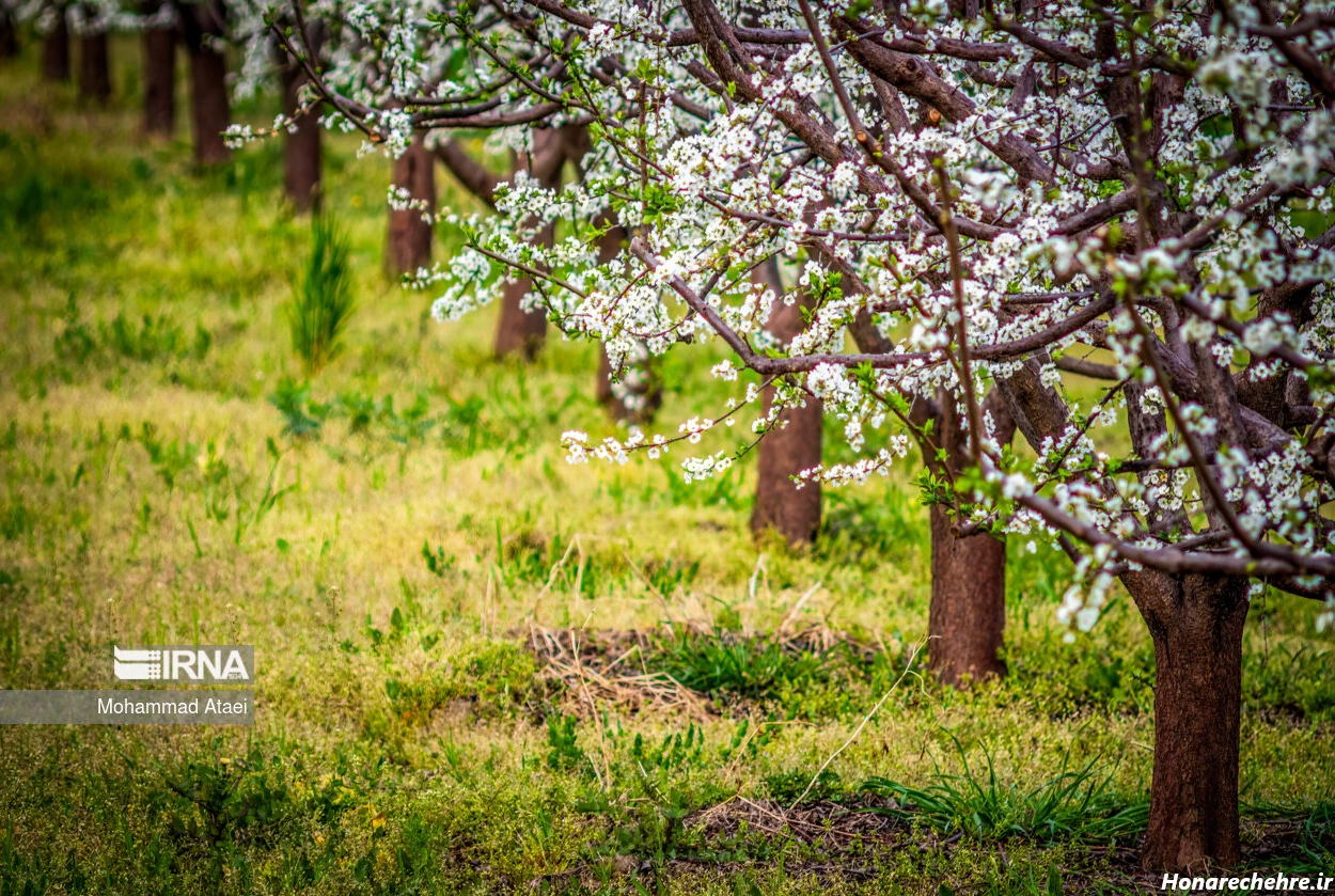 زیباترین جای شمال کجاست