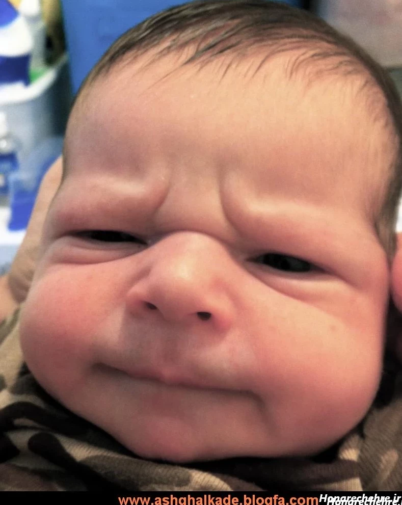 عکس های خنده دار در حد ترکیدن