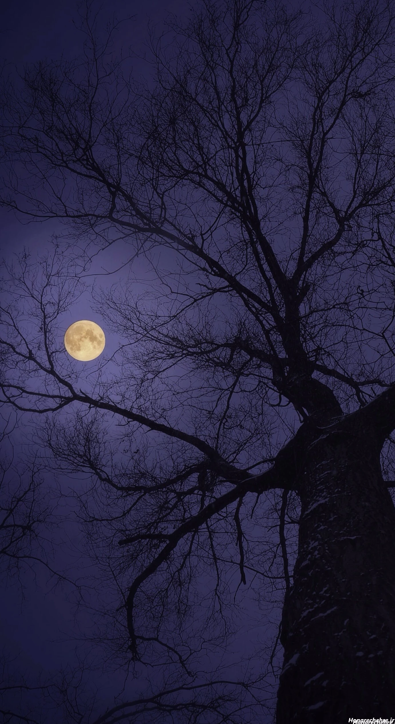 عکس ستاره واقعی در شب از نزدیک