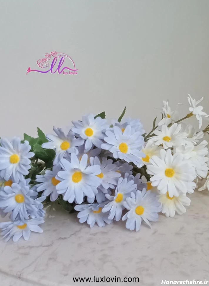 تصویری از گل بابونه