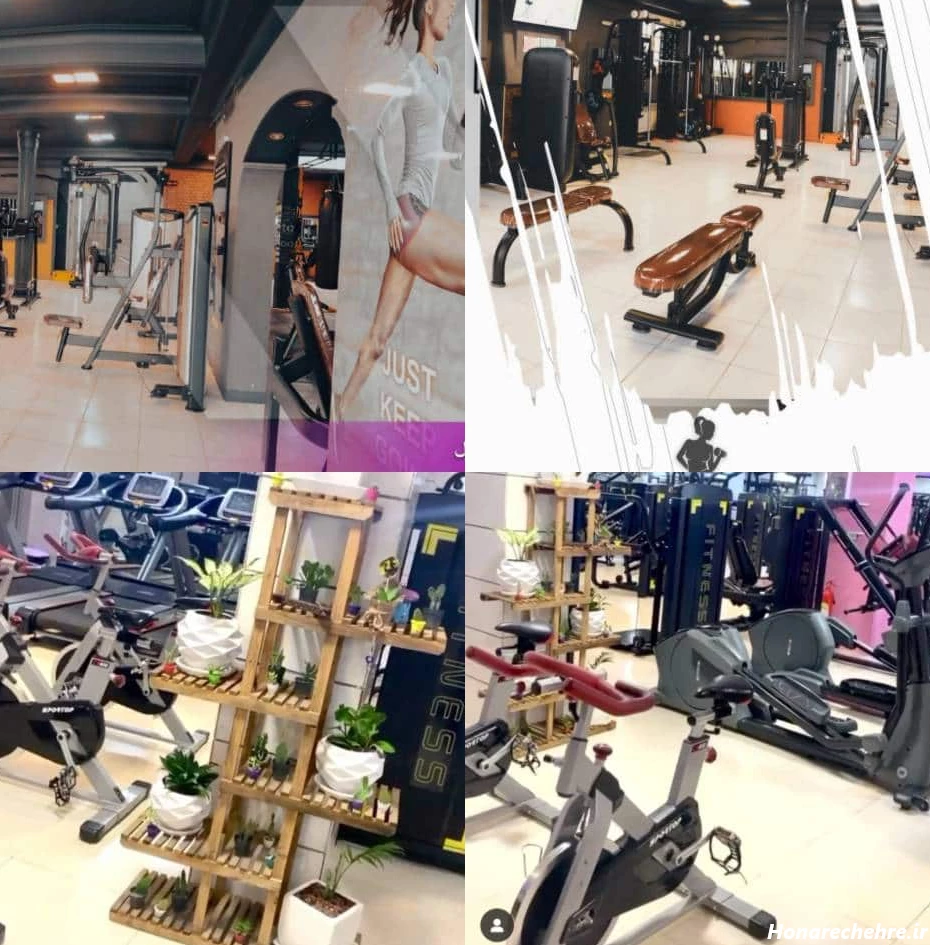 عکس باشگاه بدنسازی بانوان برای پروفایل