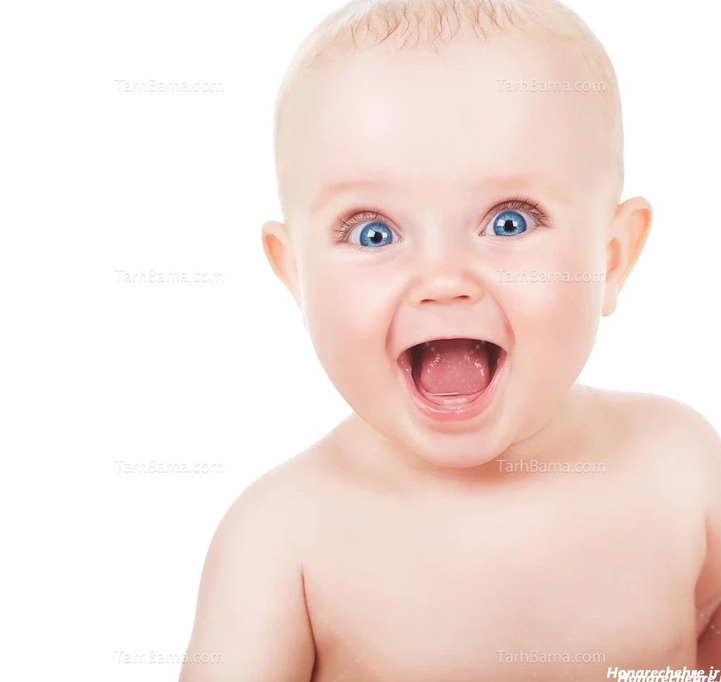 عکس های خنده دار در حد ترکیدن