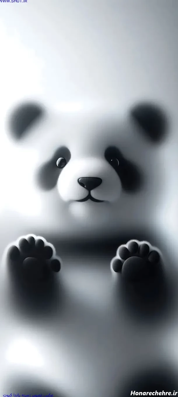 عکس حیوانات کیوت فانتزی