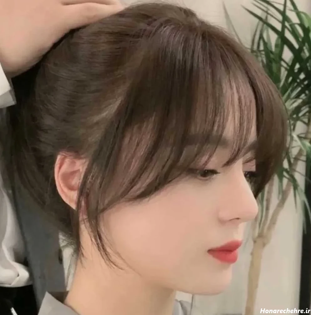 چتری کره ای بلند