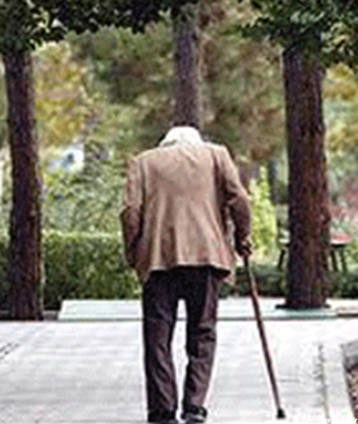 عکس پیرمرد برای پروفایل