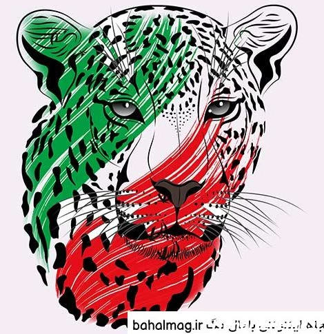 عکس پرچم ایران قدیم