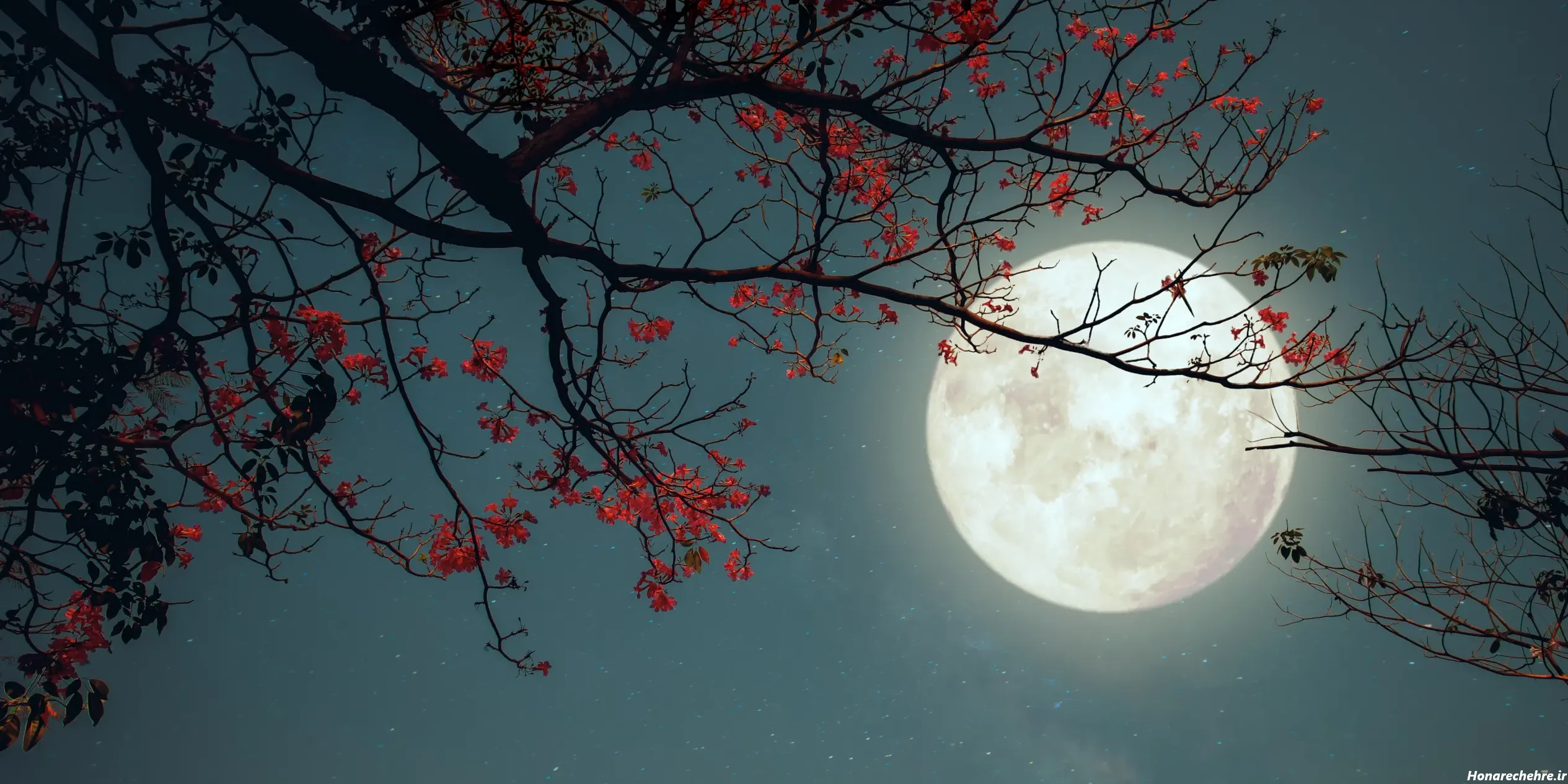 عکس ماه گرفتگی امشب ۱۶ شهریور