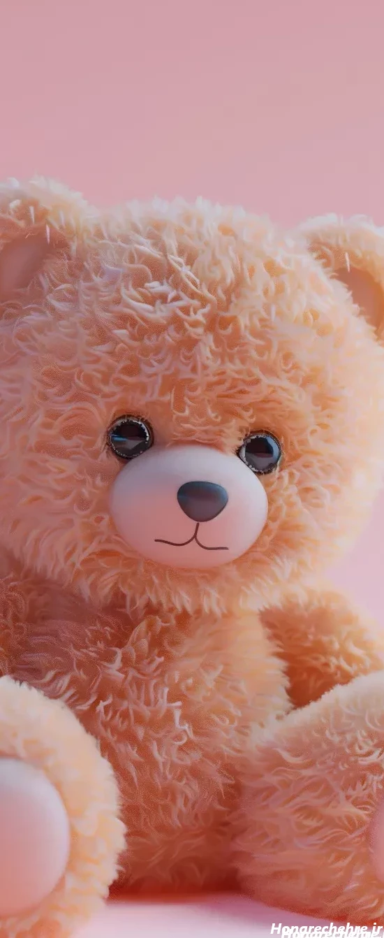 عکس خرس های کله فندقی کیوت