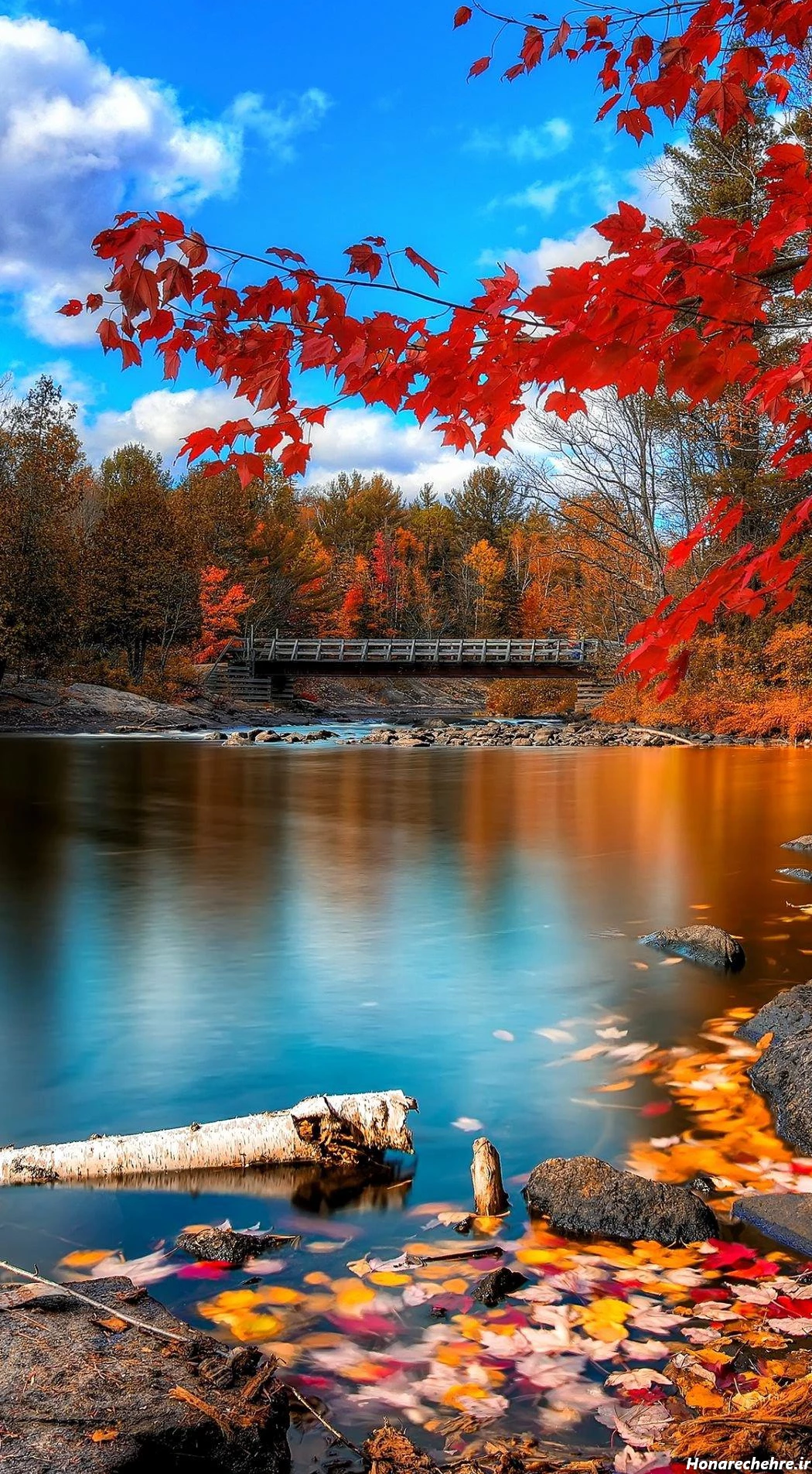 عکس طبیعت ساده