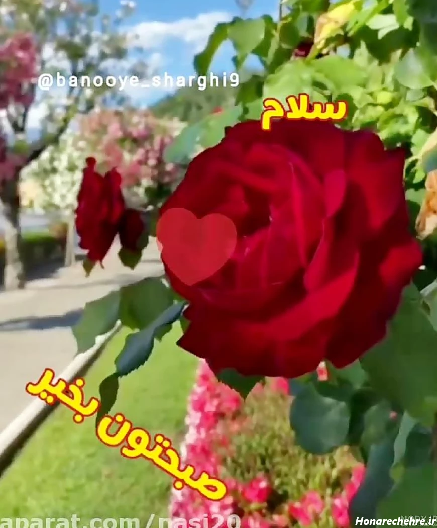 استوری صبح بخیر پاییزی