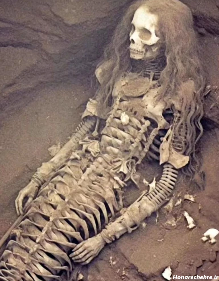 عکس اسکلت واقعی انسان