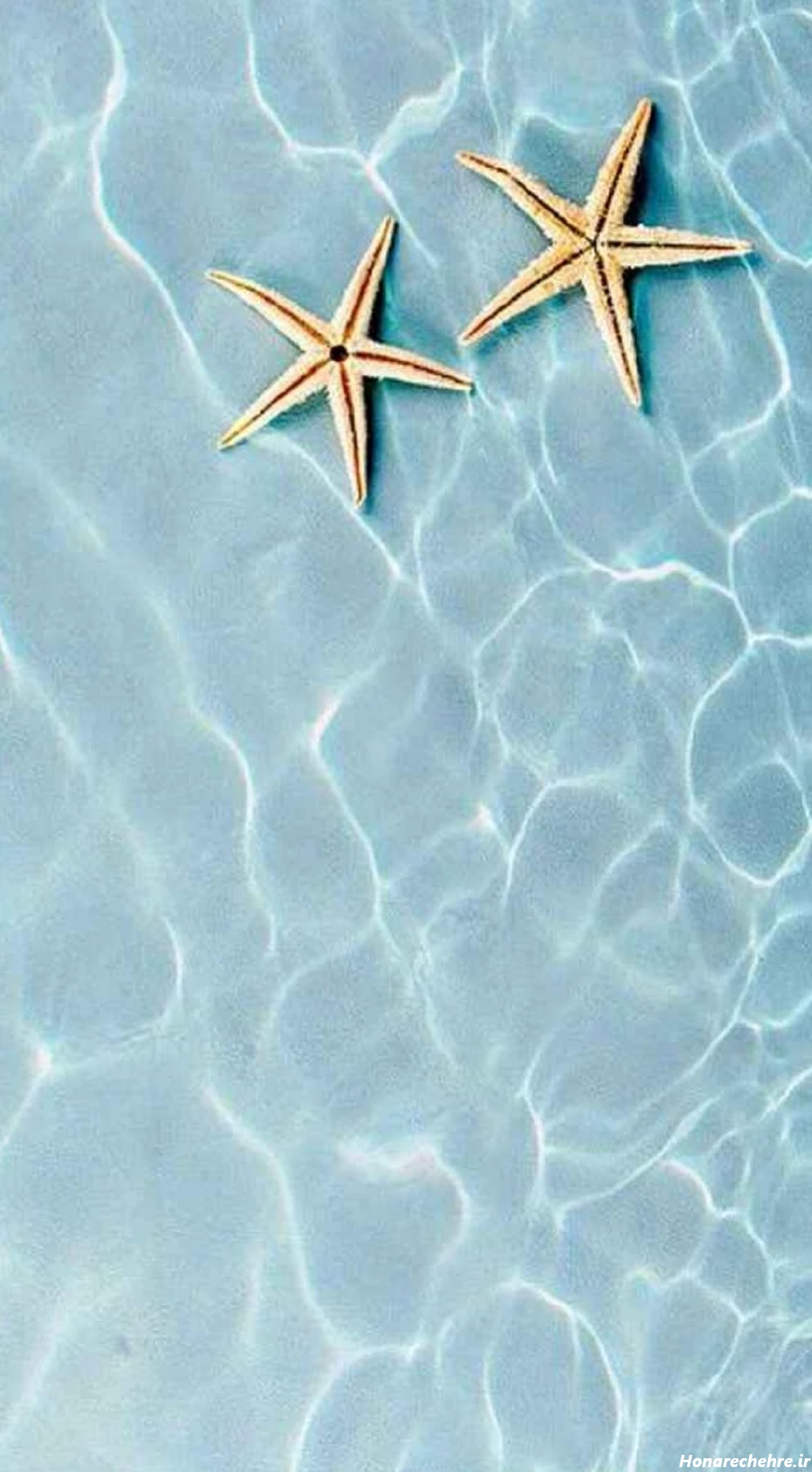 عکس کیوت دخترونه صورتی فانتزی