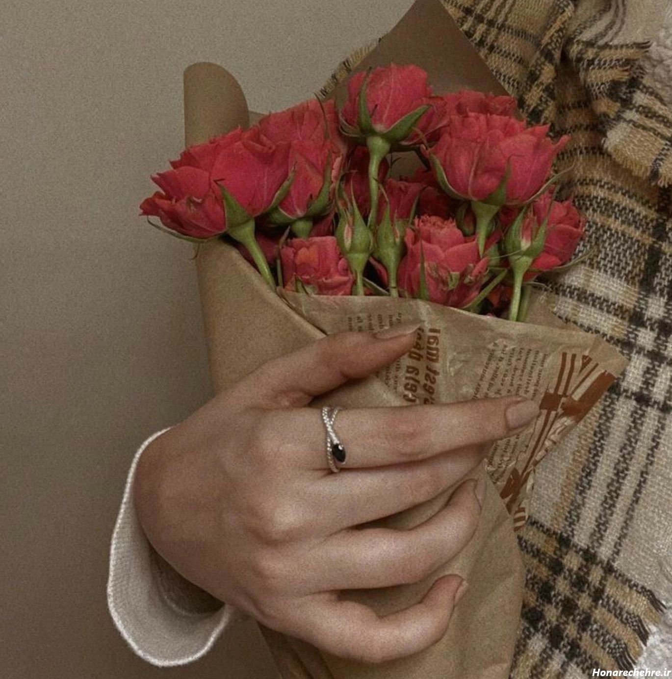 عکس دختر با گل رز قرمز