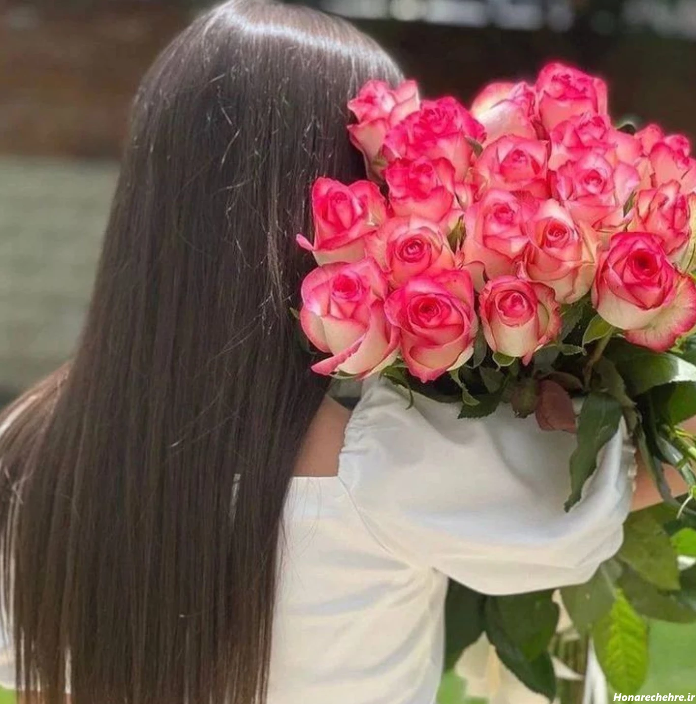 عکس دختر با گل رز قرمز