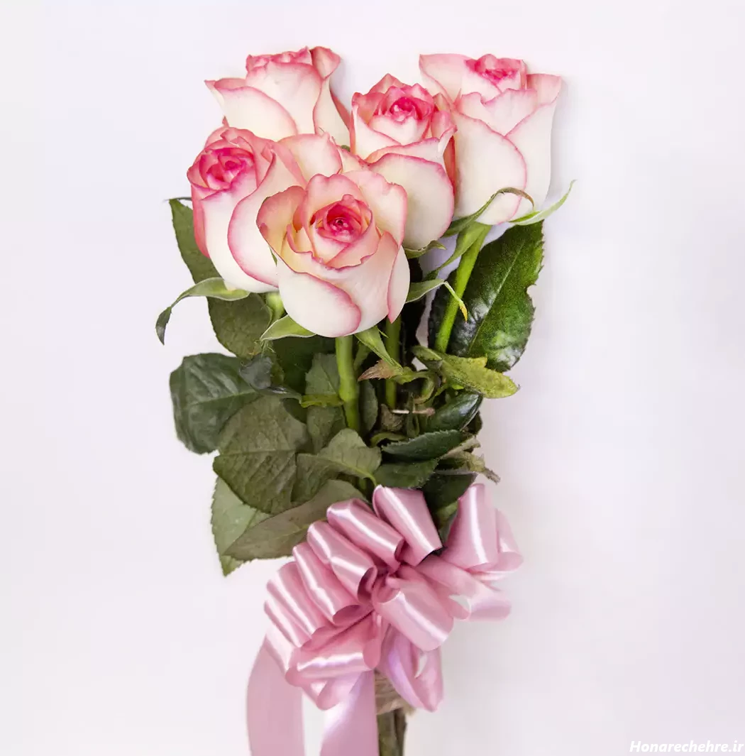 عکس دختر با گل رز قرمز