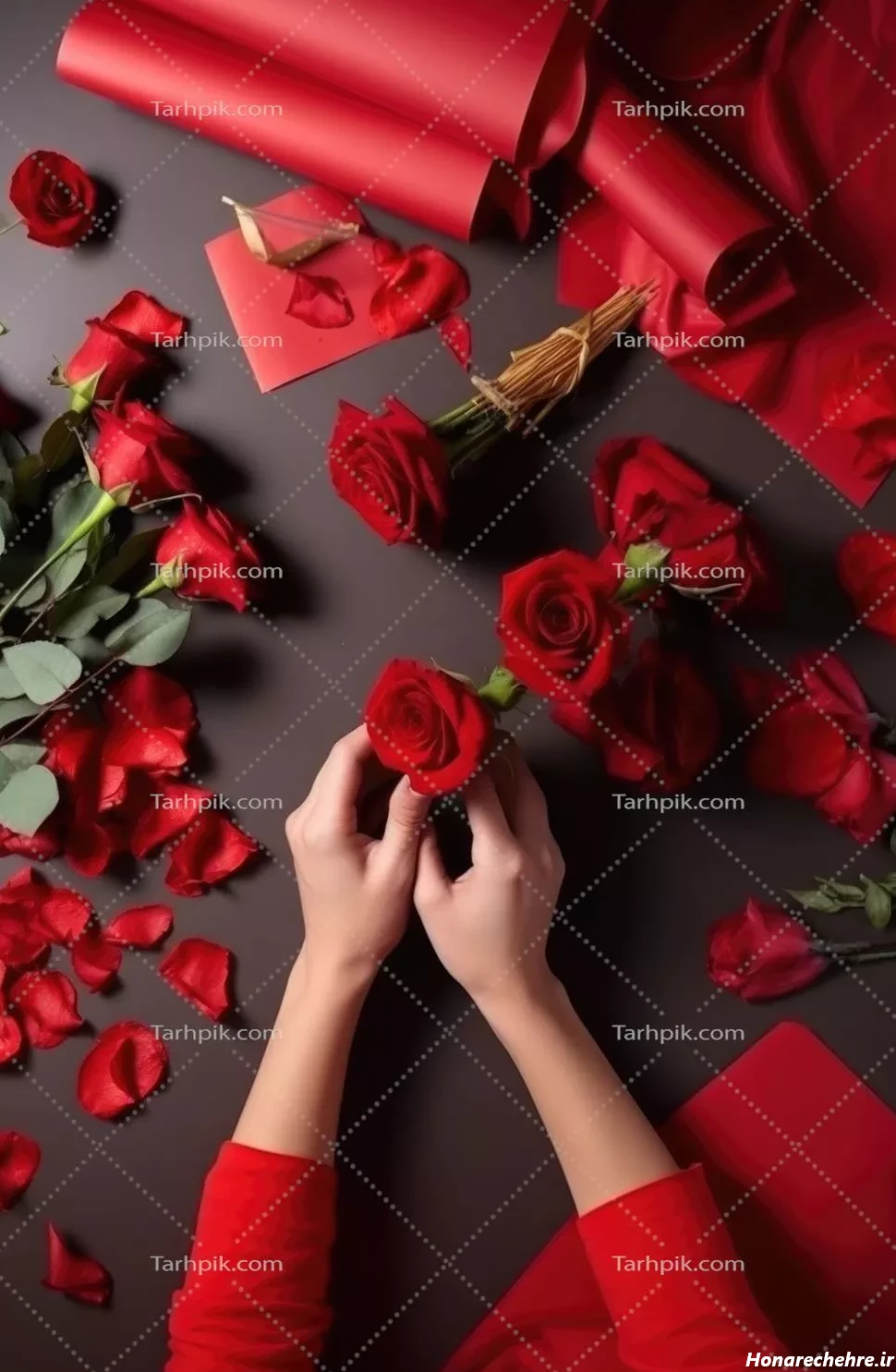 عکس دختر با گل رز قرمز
