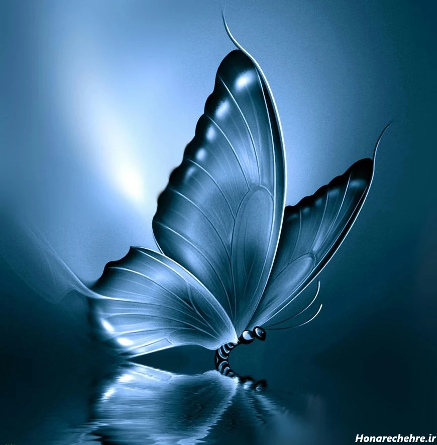 عکس پروانه فانتزی