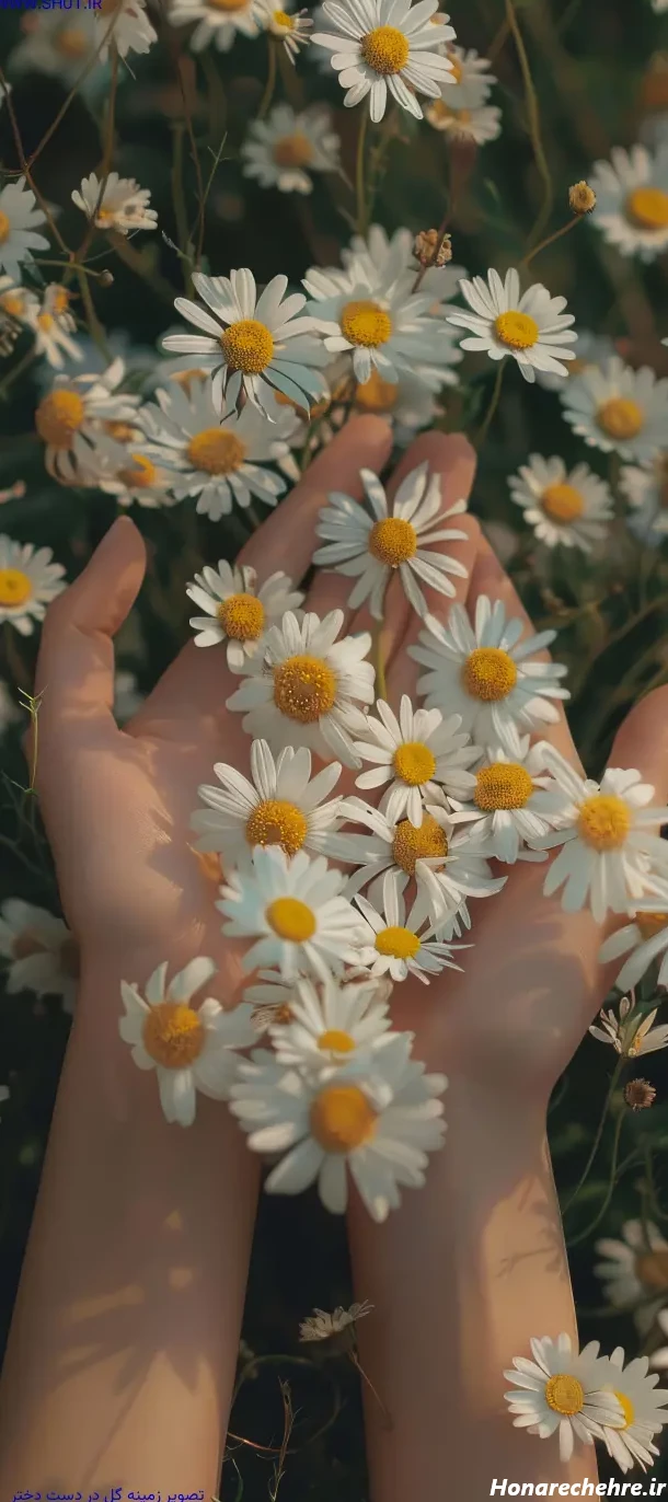 عکس دختر با گل رز قرمز