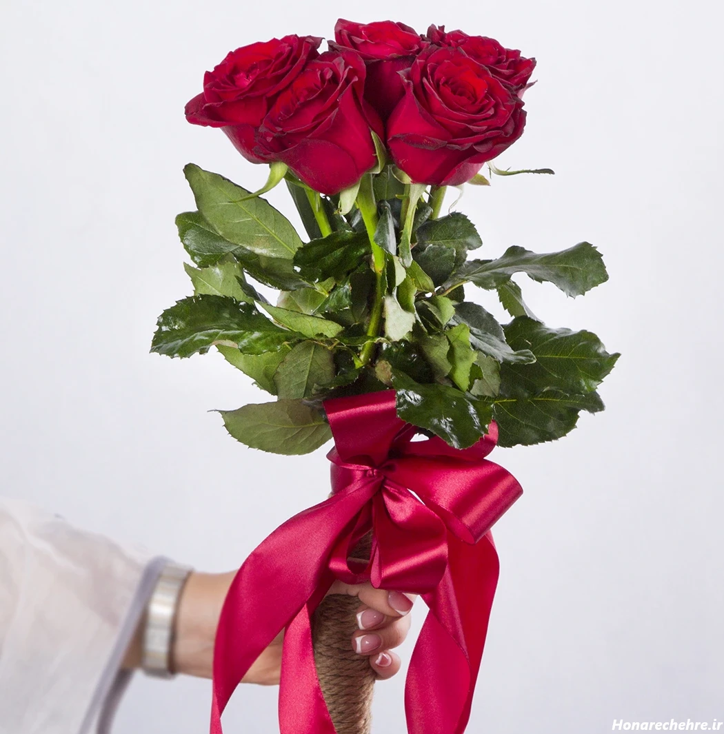 عکس دختر با گل رز قرمز