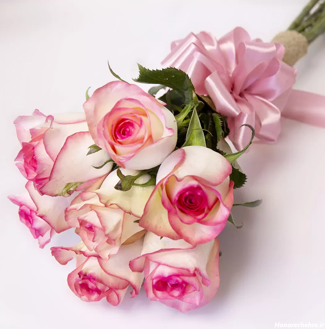 عکس دختر با گل رز قرمز