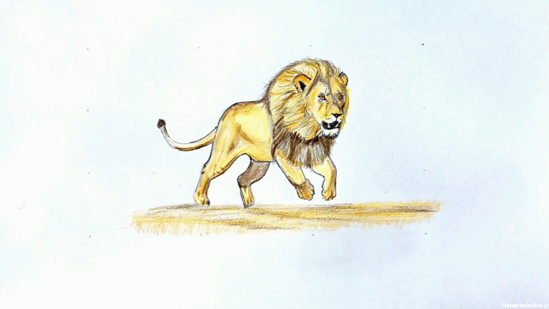 نقاشی صورت شیر