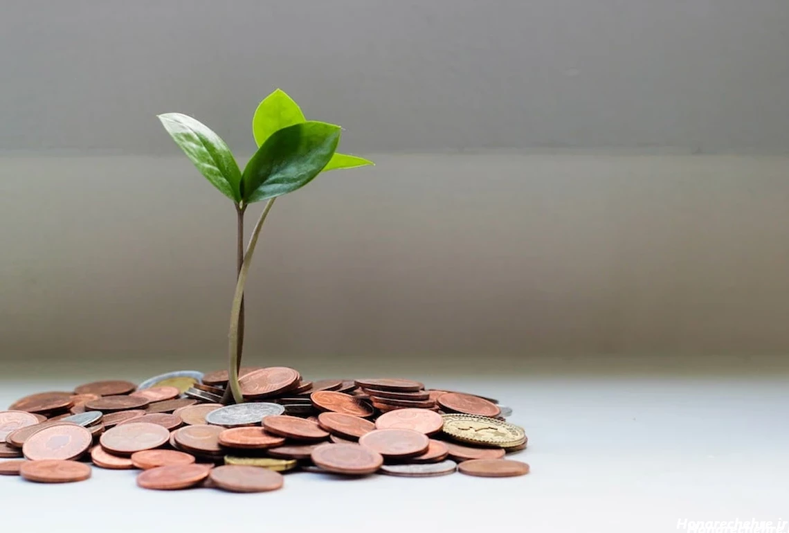 عکس پول برای پروفایل