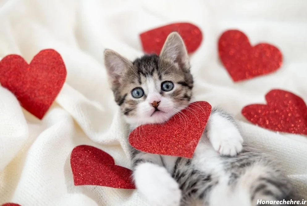 عکس قلب شکسته فانتزی