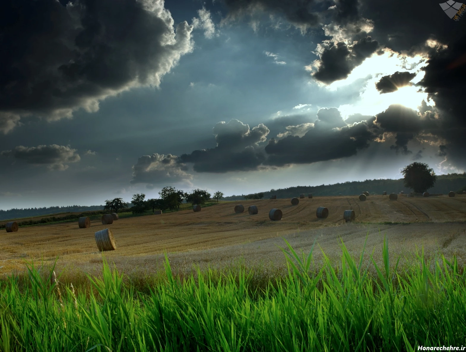 عکس باران برای پروفایل