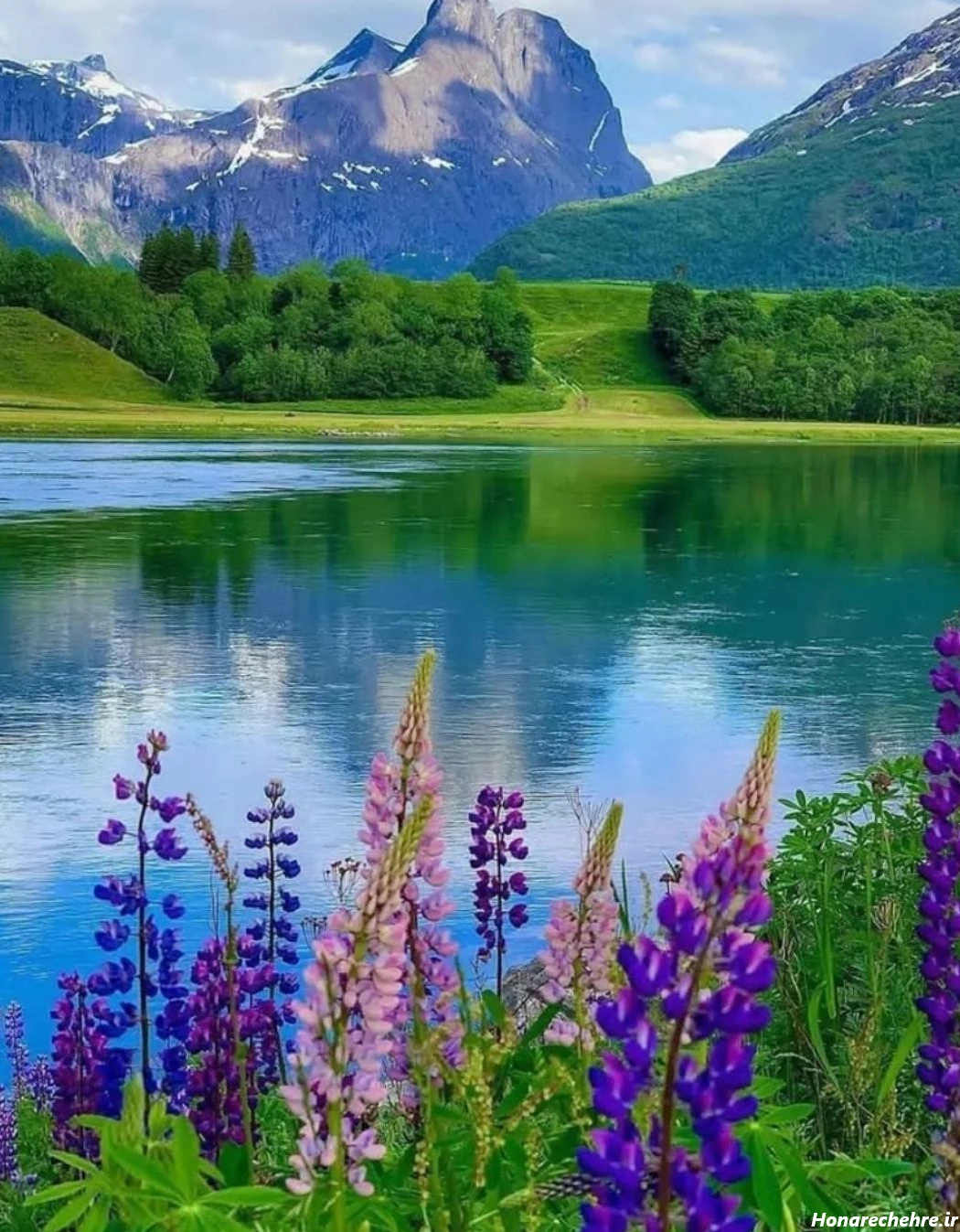 عکس طبیعت ساده