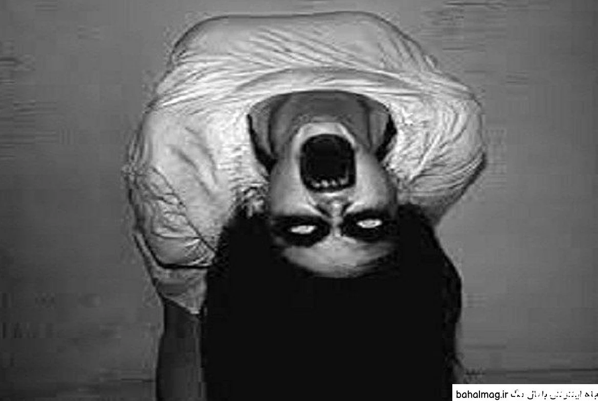 ۱۰ عکس ترسناک در حد مرگ