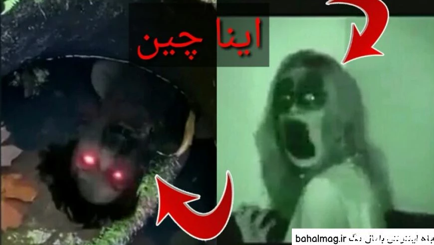 ۱۰ عکس ترسناک در حد مرگ