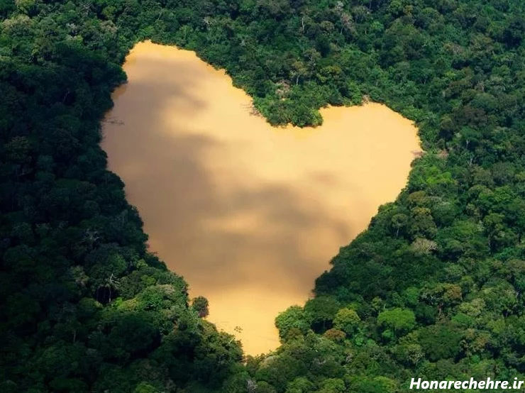 عکس جنگل ترسناک ایران