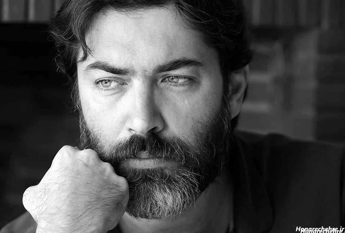 چهره مردانه زیبا ایرانی