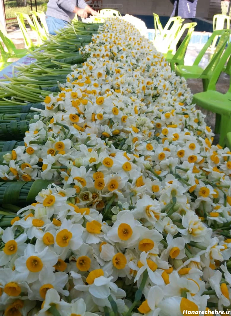 عکس باران برای پروفایل