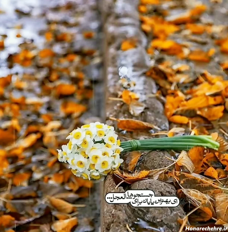 عکس باران برای پروفایل