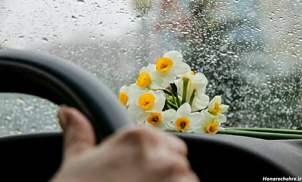 عکس باران برای پروفایل