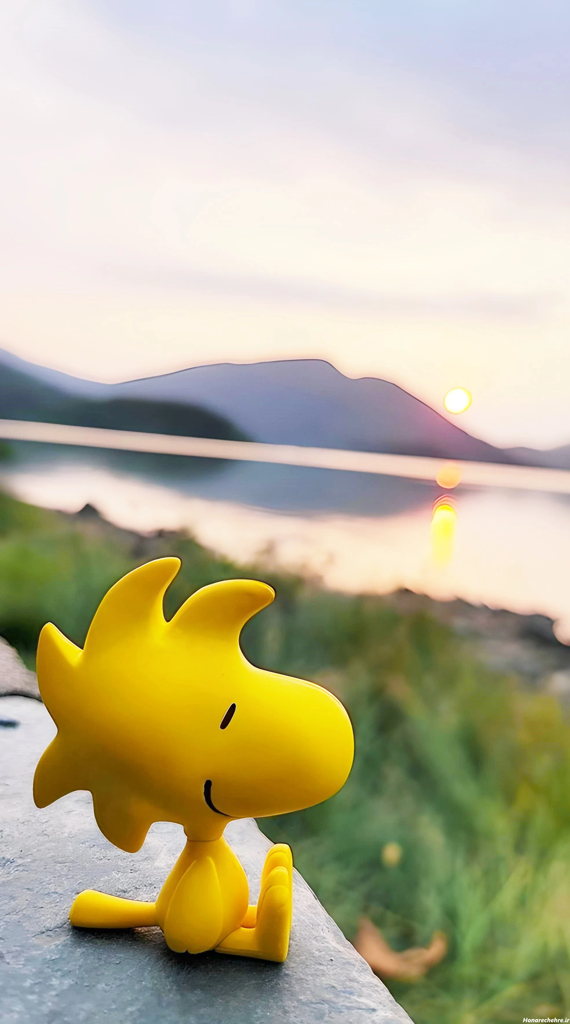 بک گراند فانتزی ساده