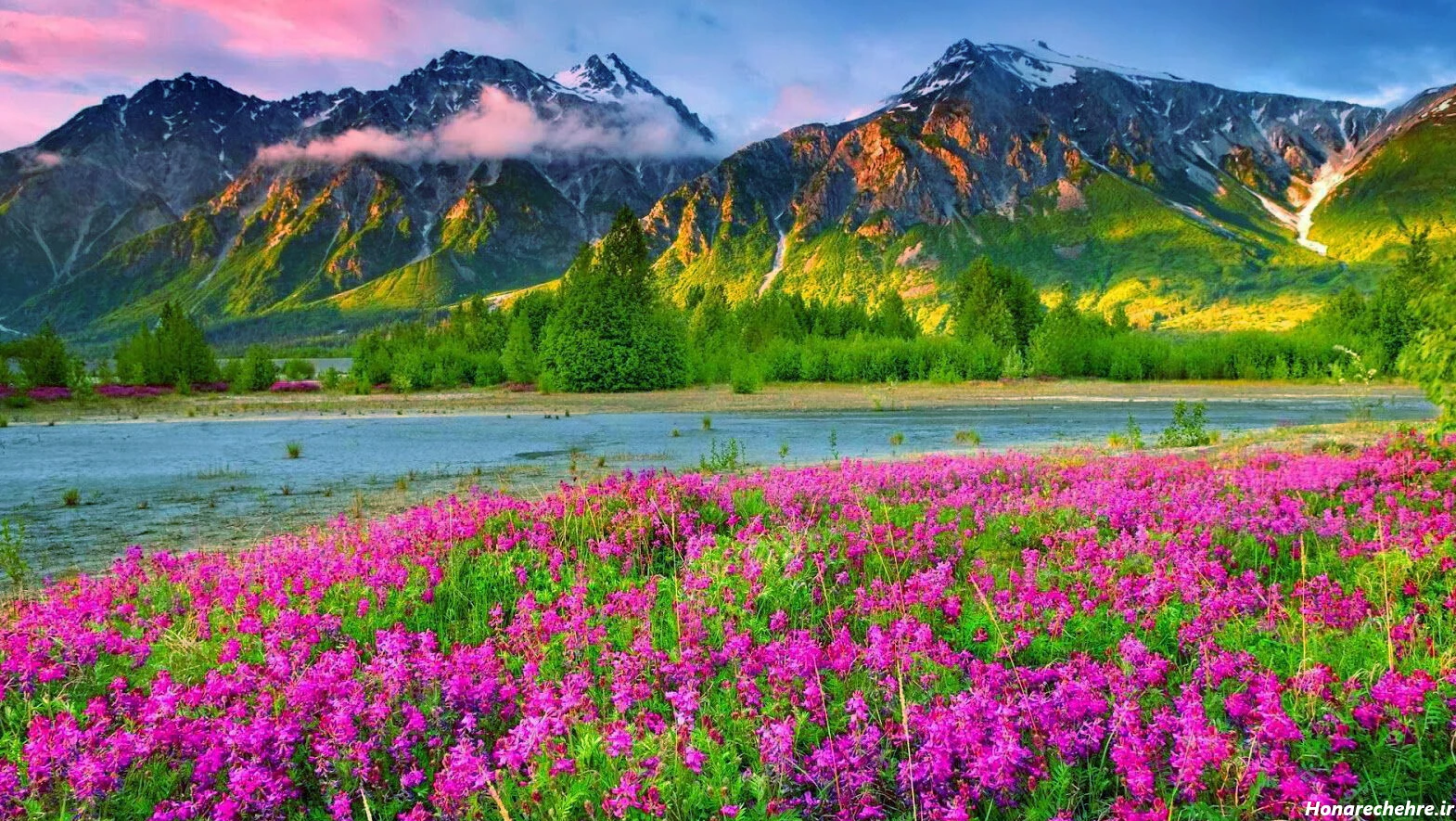 گالری عکس طبیعت