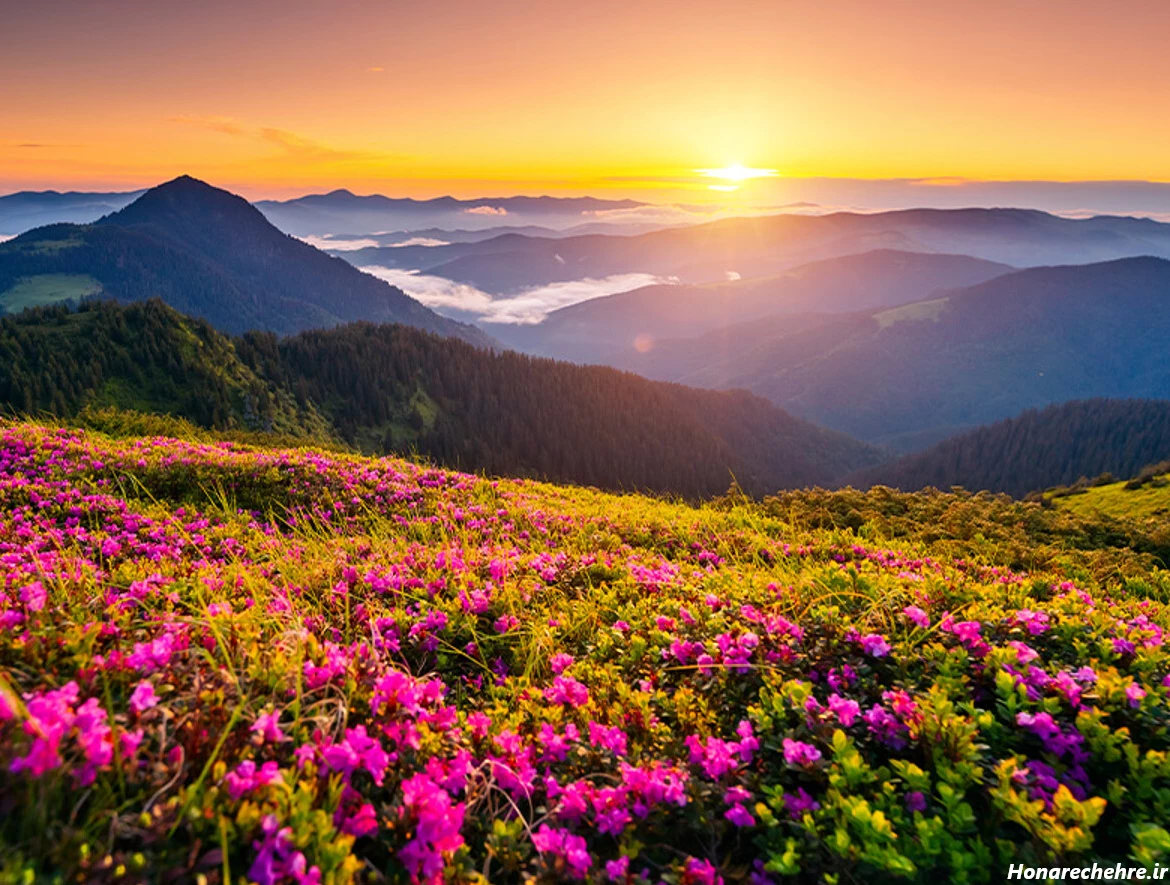 گالری عکس طبیعت