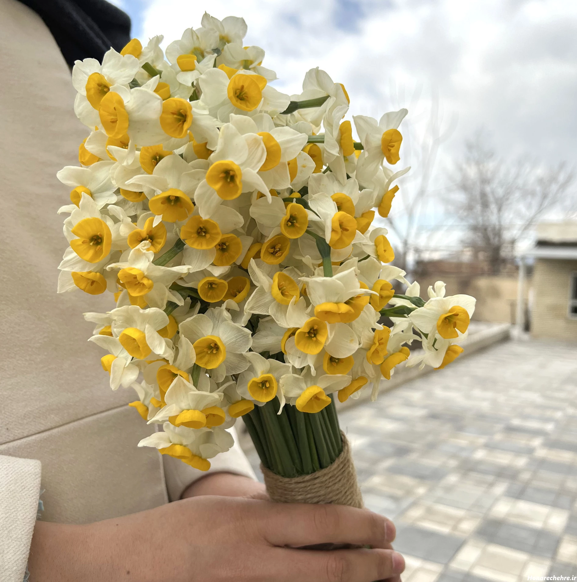 عکس باران برای پروفایل