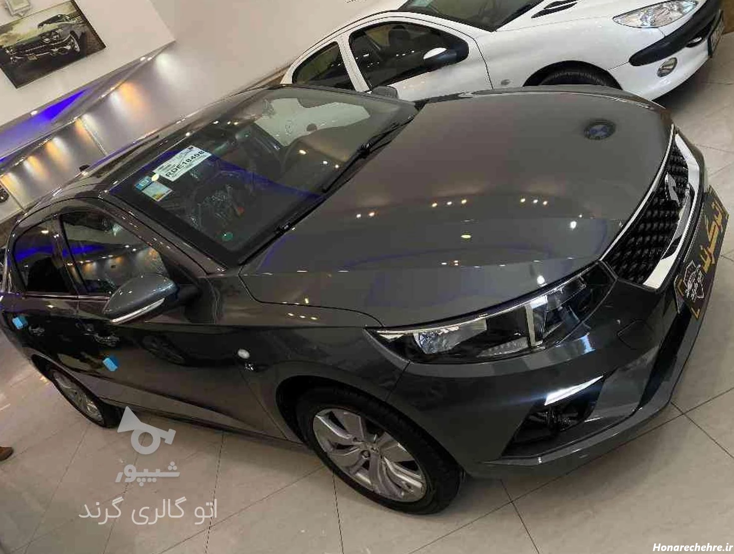 تارا خاکستری و نقره ای