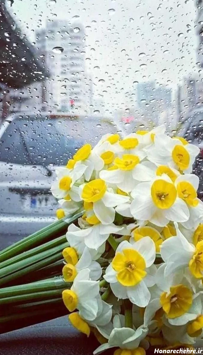 عکس باران برای پروفایل