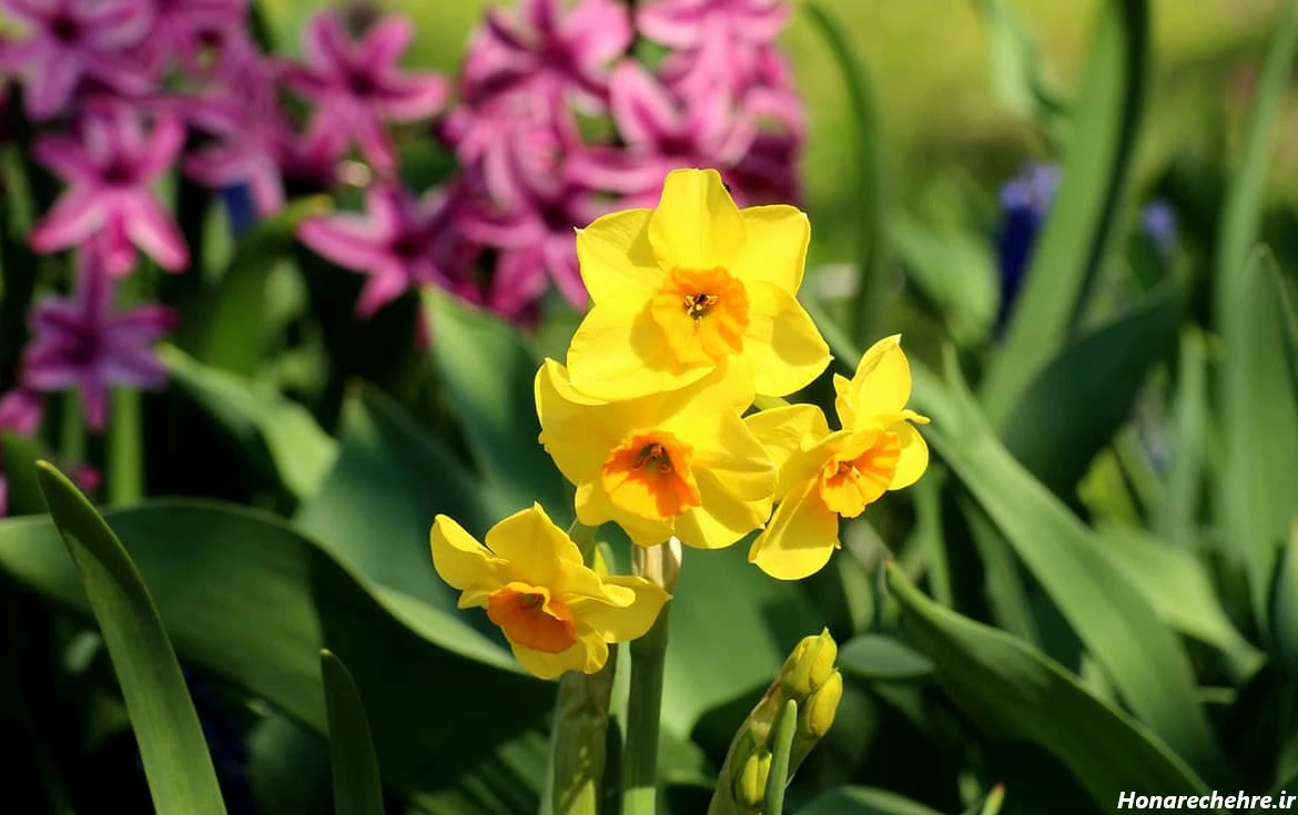 عکس باران برای پروفایل