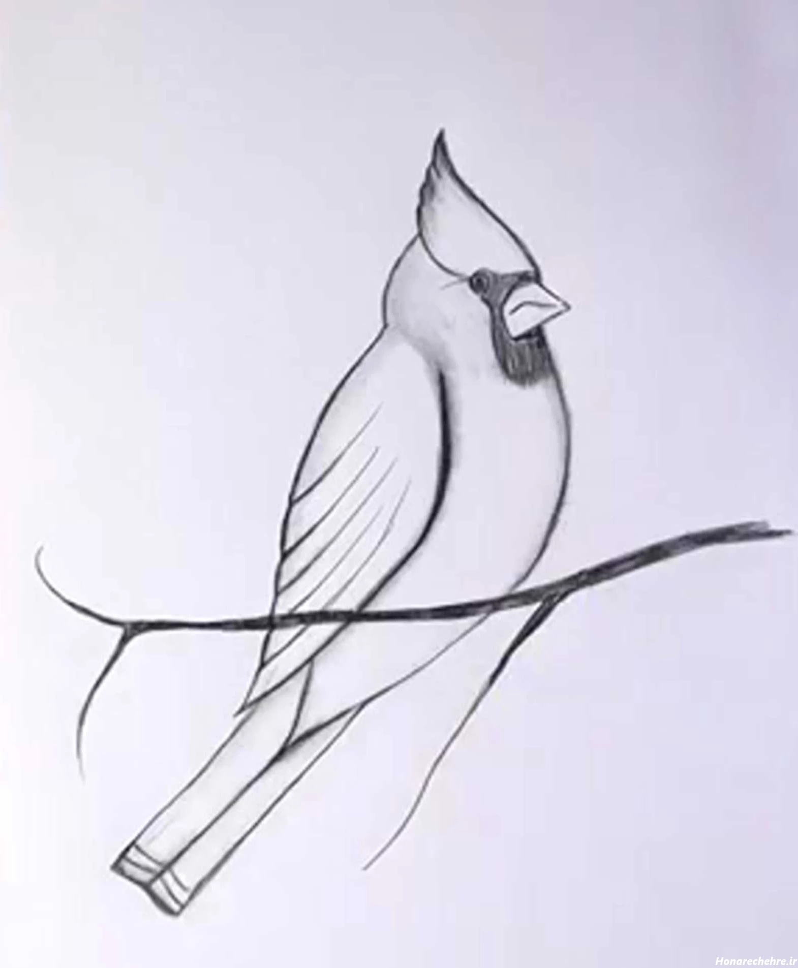 نقاشی سیاه قلم دخترانه