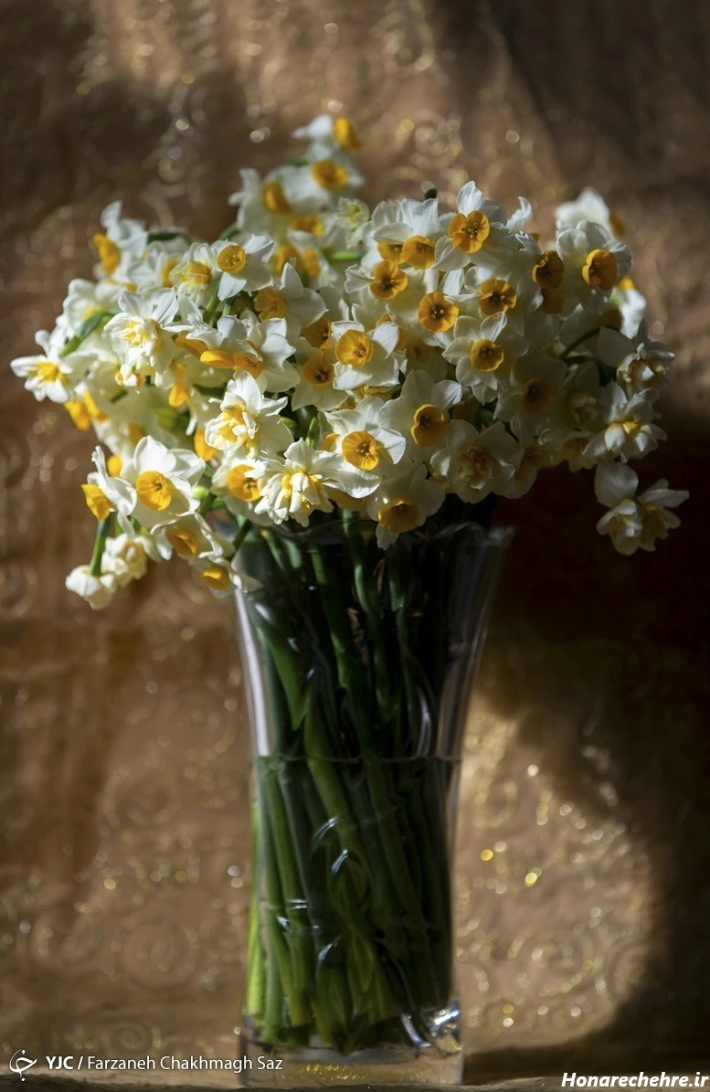 عکس باران برای پروفایل