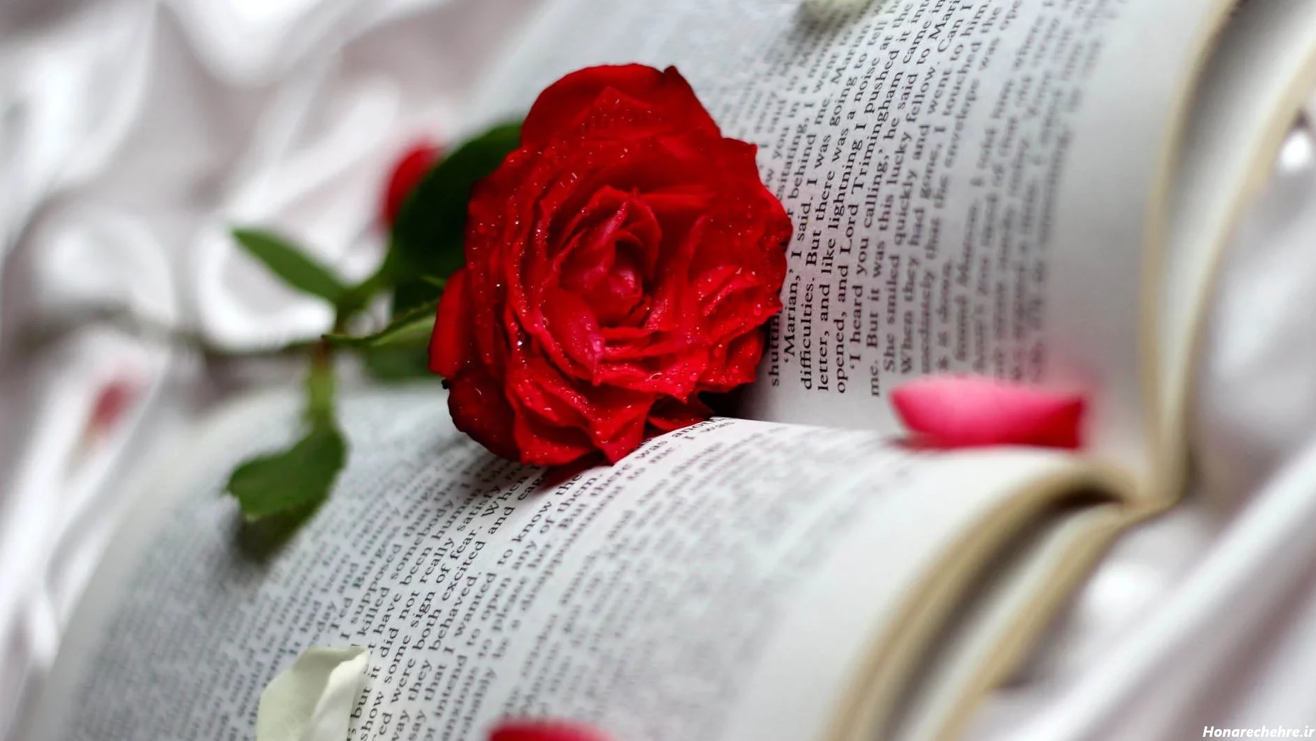 عکس گل برای پروفایل واتساپ نوشته دار