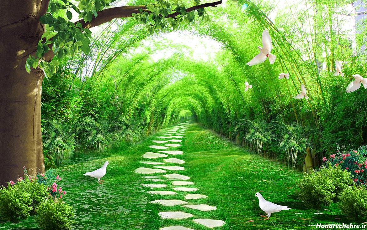 نقشه جنگل دالخانی رامسر